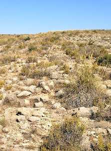 Detalle de la Calzada de los Grajos