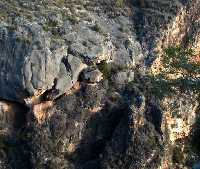 Pared Rocosa del Caon de Almadenes