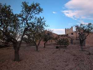 Vista de la Casa [Casa Torrica]