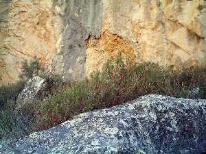 Alrededor del Abrigo [Abrigo de los Gavilanes]