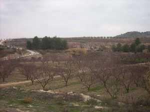 Agricultura de Valentn (Calasparra) 