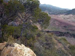 Ubicacin del Poblado [Cerro de la Salud]