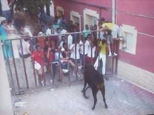 Corrida de vaquillas de Valentn 