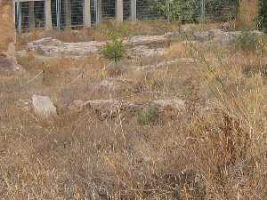 Contorno del Edificio del Yacimiento Arqueolgico el Martyrium