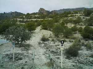 Sendero de la Sierra de la Pila 