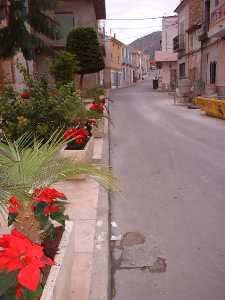 Calle Virgen del Rosario 