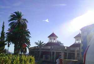 Palmeras en el Balneario