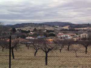 Cultivo de almendros 