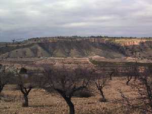 Paisaje de la pedana 