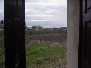 Vista de la naturaleza de la pedana 