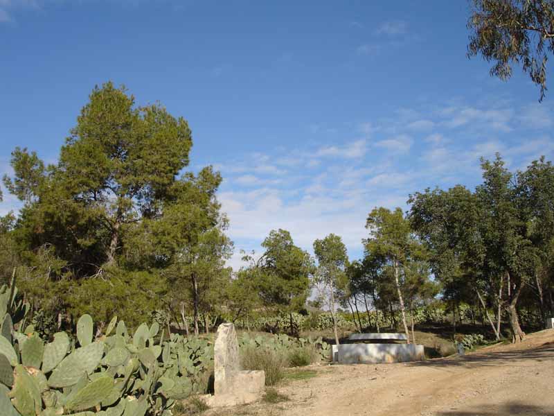 Cocinas Parque Los Polvorines