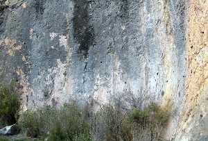 Detalle de la Pared del Poblado