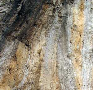 Pared de la Zona del Habitat