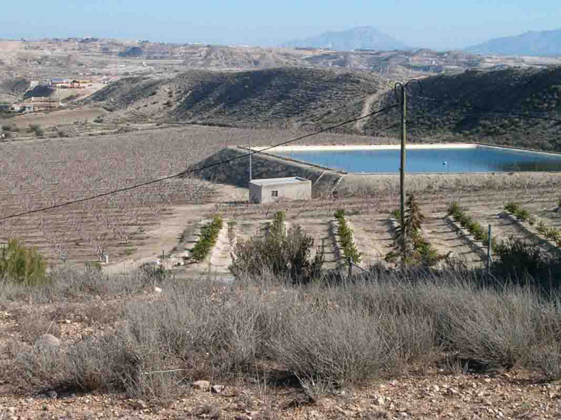 Balsa [Molina de Segura_El Fenazar]. 