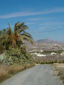 La Hoya del Fenazar 