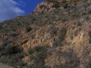 Perfil rocoso y matorral 