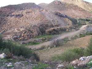 Rutas por la naturaleza 