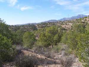 Sierra de las Cabezuelas 