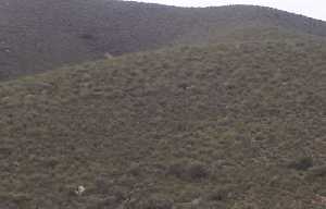 Ladera de la Loma de Aguaderas 