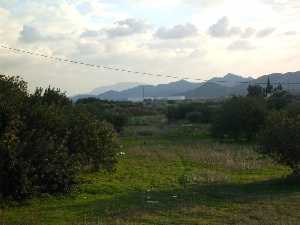 Campo y sierra [Fuente lamo_Balsapintada]