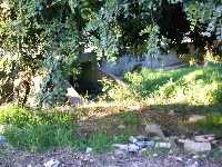 Construccin en la Rambla del Balsaespn 