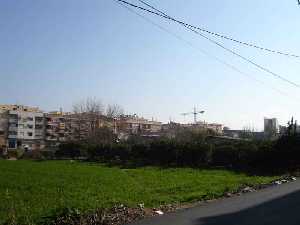  La huerta en pleno centro urbano [Murcia_Puente Tocinos]
