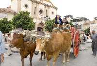  Desfile de Carrozas. Fiestas Patronales 