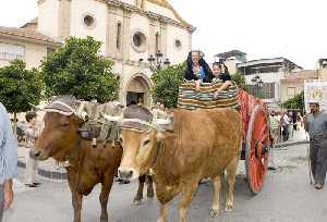  Desfile de Carrozas. Fiestas Patronales 