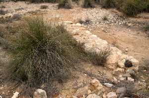 Yacimiento arqueolgico en La Paca (Lorca) [La Paca_Lorca]