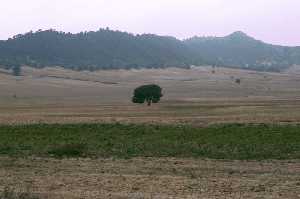 Paisaje de Zarcilla de Ramos 