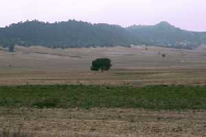 Paraje de Zarcilla de Ramos [Zarcilla de Ramos_Lorca]