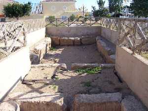 Balsas de los Diegos en Los Narejos (Los Alc�zares) 