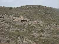 Loma de la Sierra de Ascoy Loma de la Sierra de Ascoy