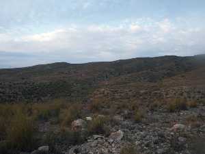 Monte bajo en la Sierra de Ascoy 