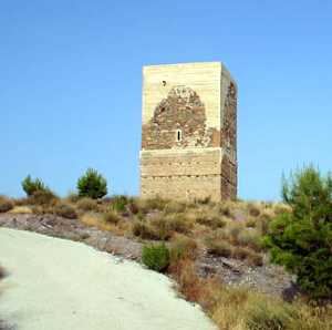 Vista de la Torre y su Entorno