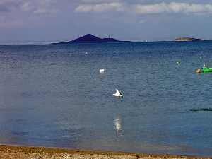  Islas del Mar Menor [San Javier_La Manga]