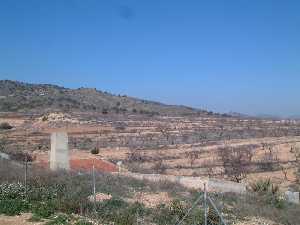 Almendros bajo la sierra 