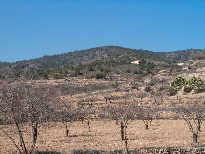 Sierra de las Pansas [Yecla_Raspay]. 