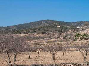 Sierra de las Pansas 