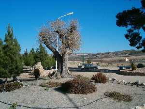 Zona de recreo en Fuente del Pino 