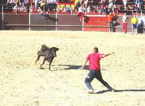  Suelta de Vaquillas 