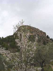  Almendro y Cerro del Castillo [Moratalla_Benizar]