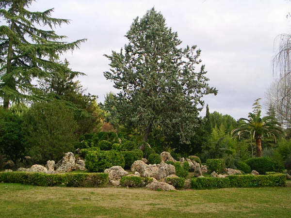 Naturaleza protegida en La Estacada [La Estacada_Jumilla]. 