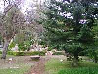 Paraje del interior del Jardn Botnico 