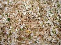 Las hojas de azahar se secan para usar en infusiones 