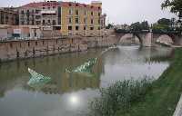 Presentacin sardina