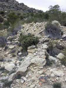 Detalle de los muros del Castillico