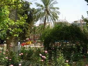 Flores del Jardin de Floridablanca