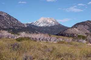 Vista del Morrn de Sierra Espua desde Aledo [El Valle del Guadalentn]