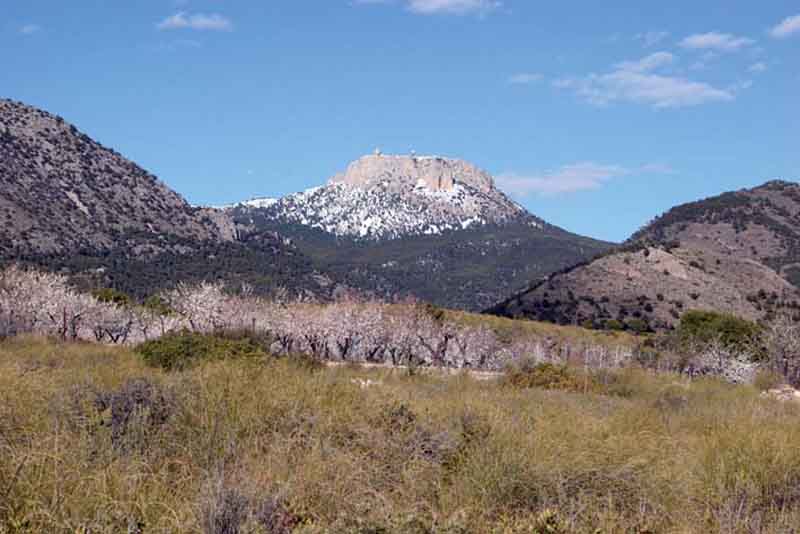 Vista del Morrn de Sierra Espua desde Aledo [El Valle del Guadalentn]. 